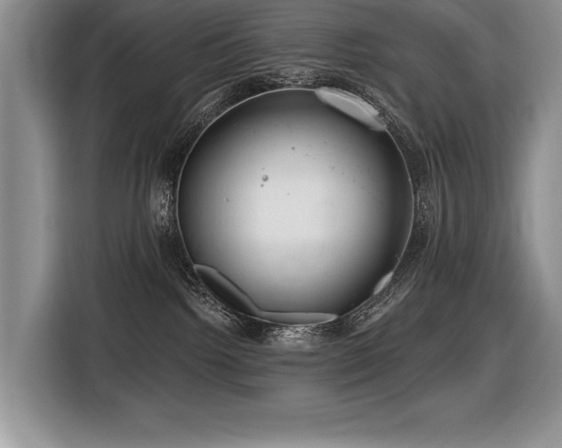 X0000116550092200912101423