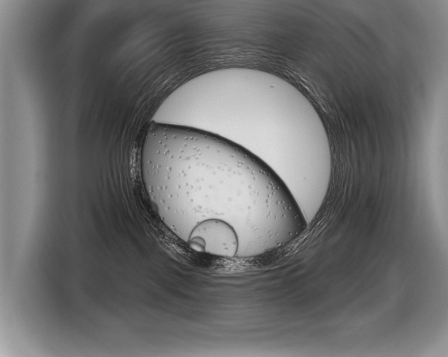 X0000116550093200912101423