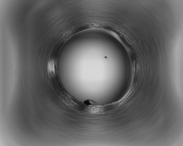 X0000116550094200912101423