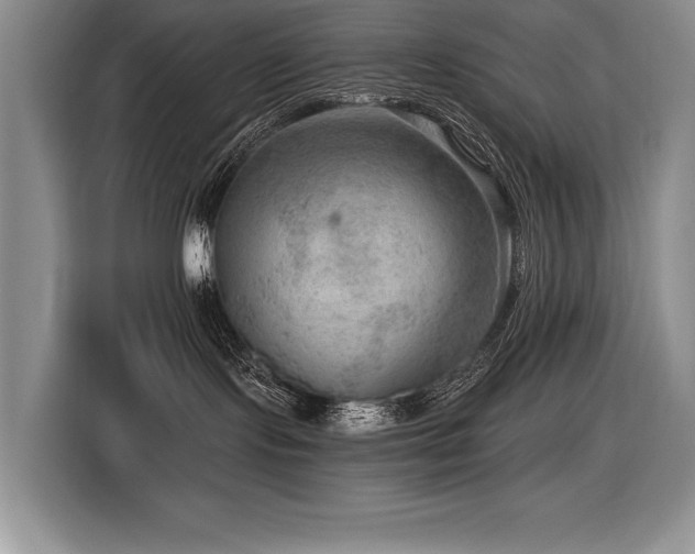 X0000116550095200912101423