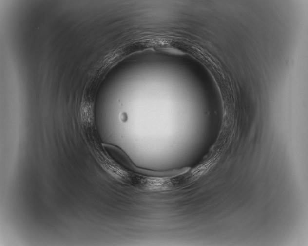 X0000116550096200912101423