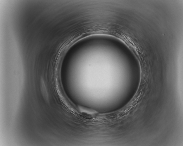 X0000116550097200912101422