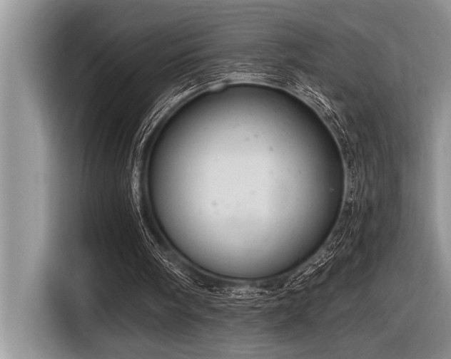 X0000116550098200912101422