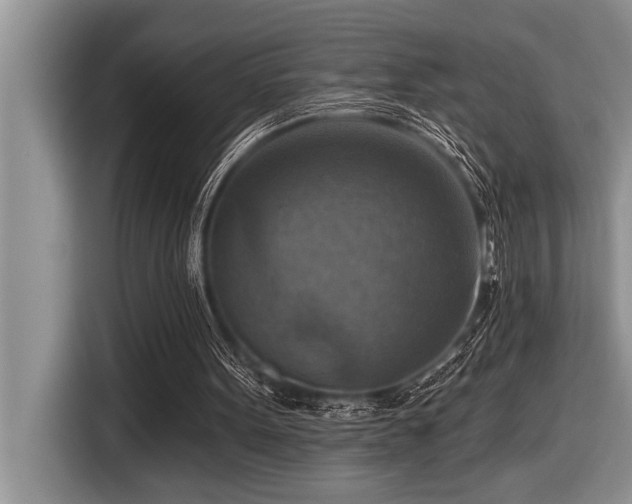 X0000116550099200912101422