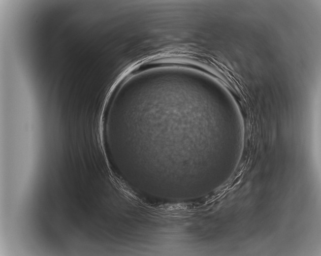 X0000116550100200912101422