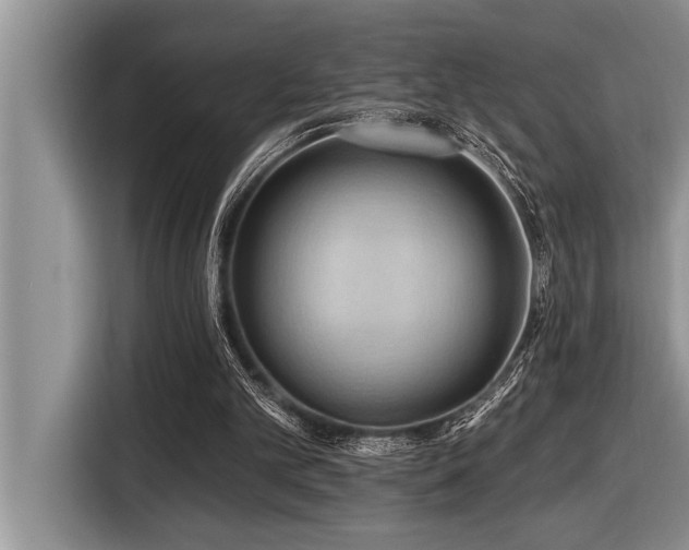 X0000116550101200912101422