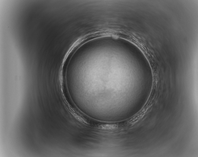 X0000116550102200912101422