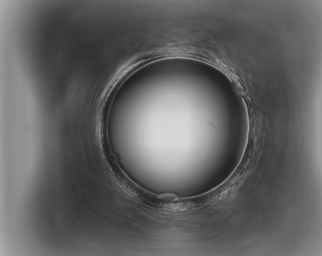 X0000116550103200912101422