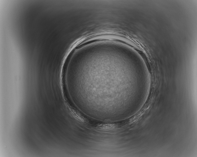 X0000116550104200912101422