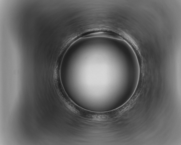 X0000116550105200912101422