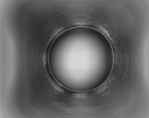 X0000116550106200912101422