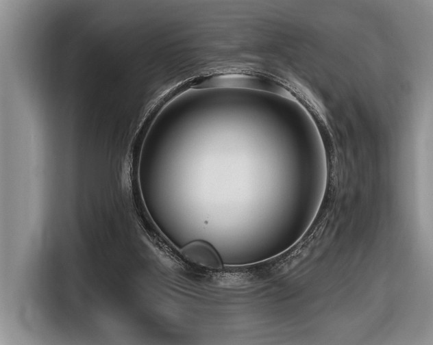 X0000116550107200912101422