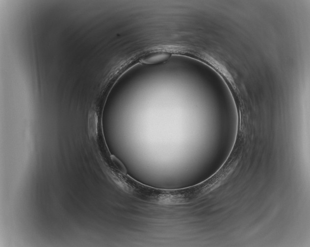 X0000116550109200912101422