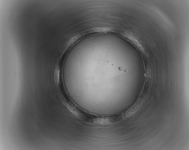 X0000116550110200912101422