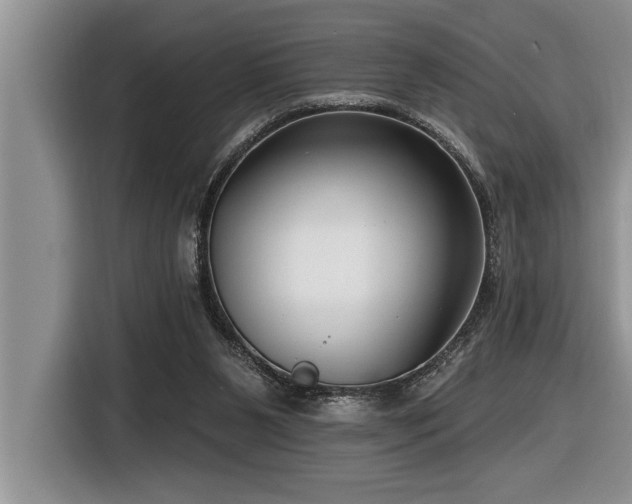 X0000116550111200912101422