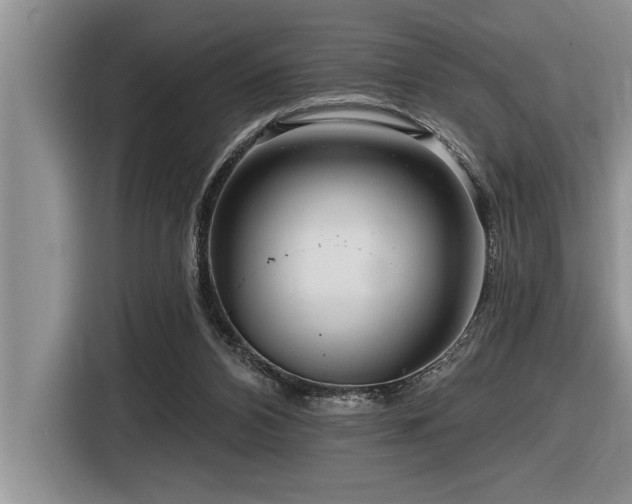 X0000116550112200912101422