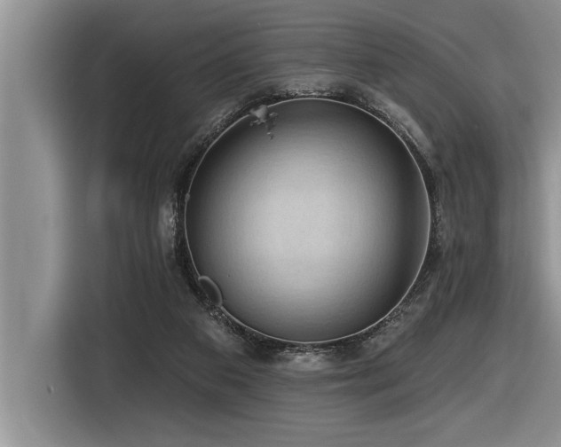 X0000116550113200912101422