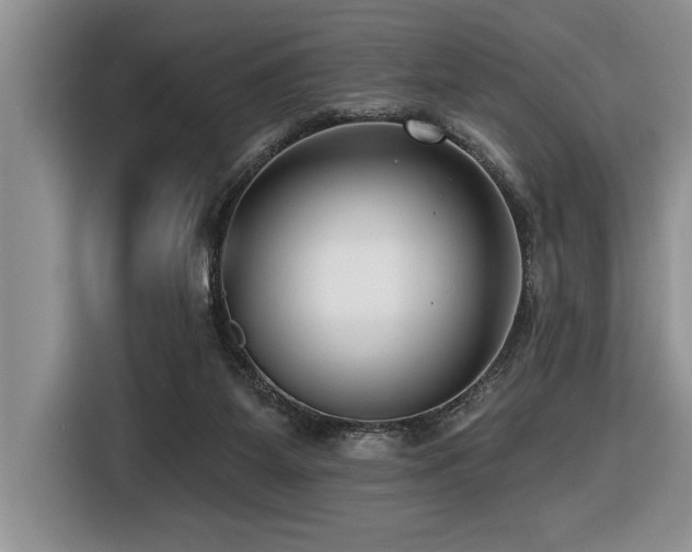 X0000116550115200912101422