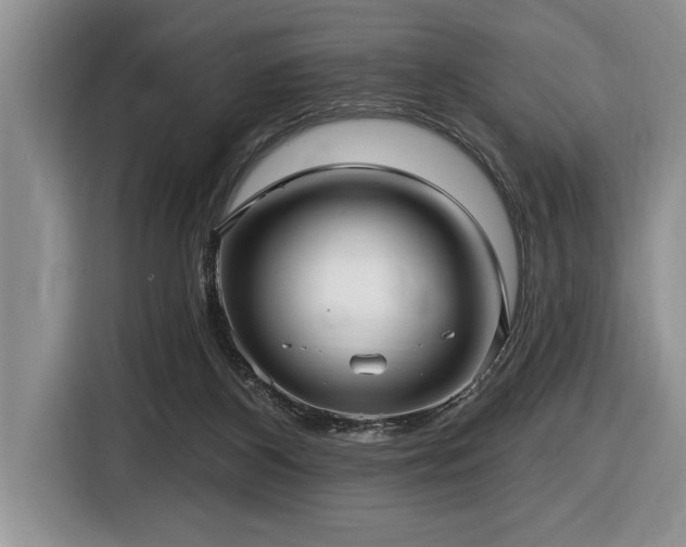 X0000116550116200912101422