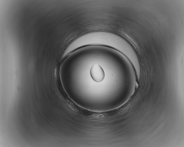 X0000116550117200912101422