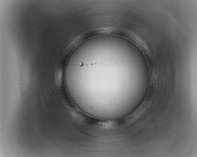 X0000116550118200912101422