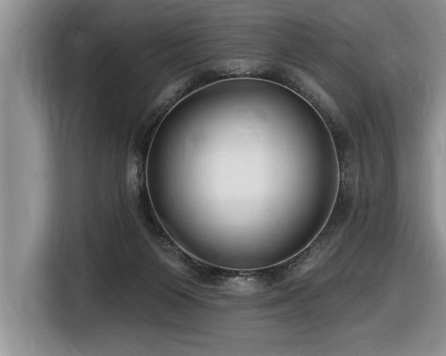 X0000116550119200912101422