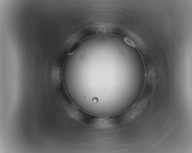 X0000116550121200912101422