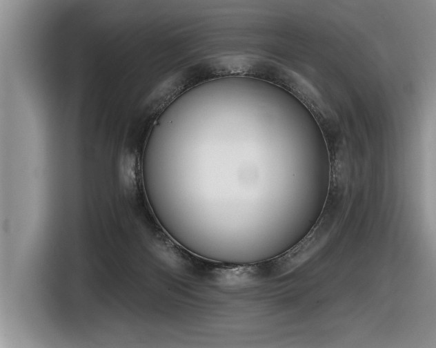 X0000116550122200912101422