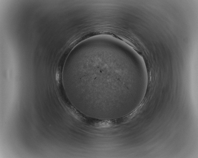 X0000116550124200912101422