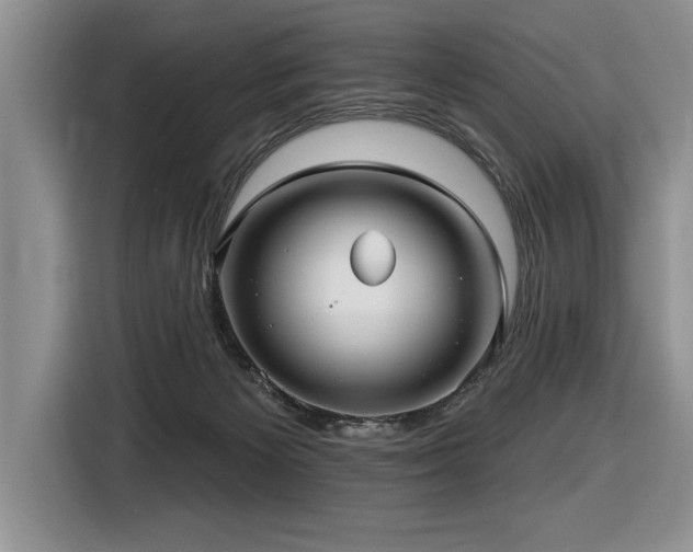 X0000116550125200912101422