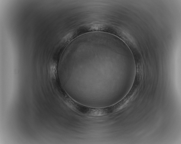 X0000116550127200912101422