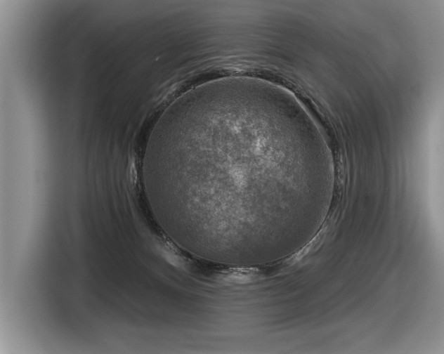 X0000116550128200912101422