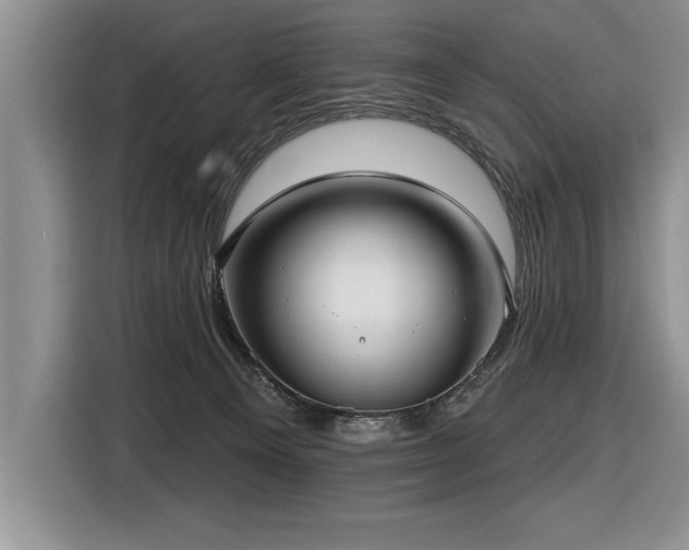 X0000116550129200912101422