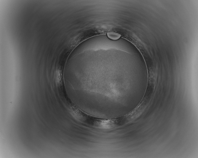 X0000116550130200912101422