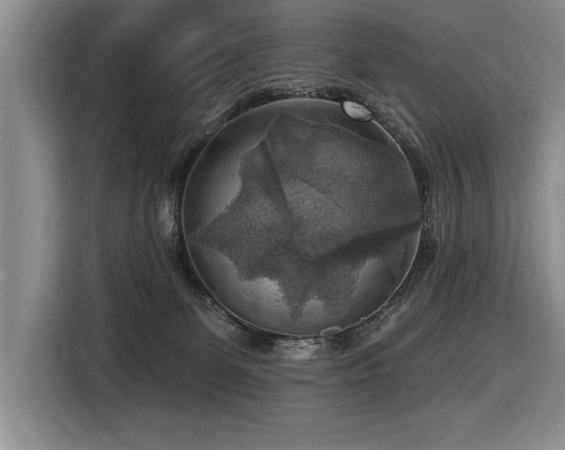 X0000116550131200912101422