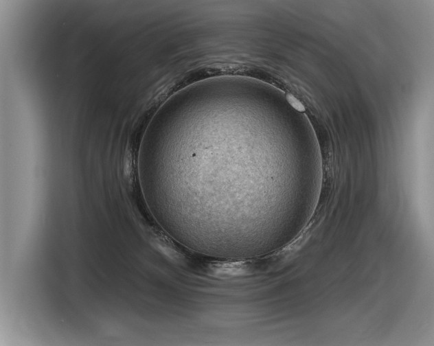 X0000116550132200912101422