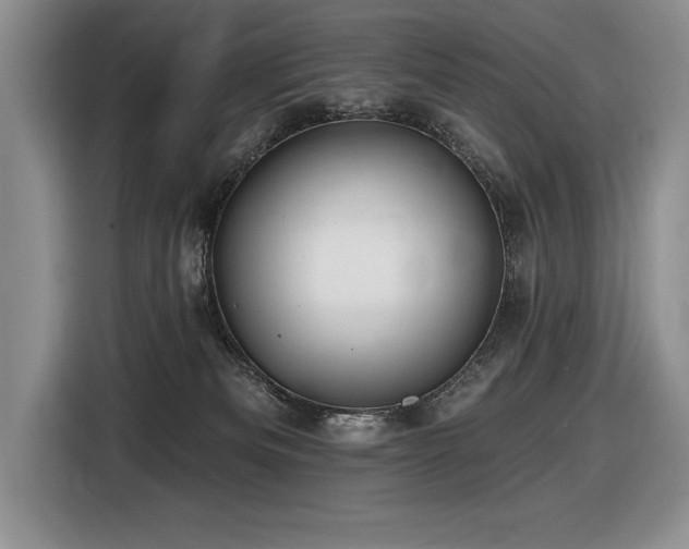 X0000116550133200912101422