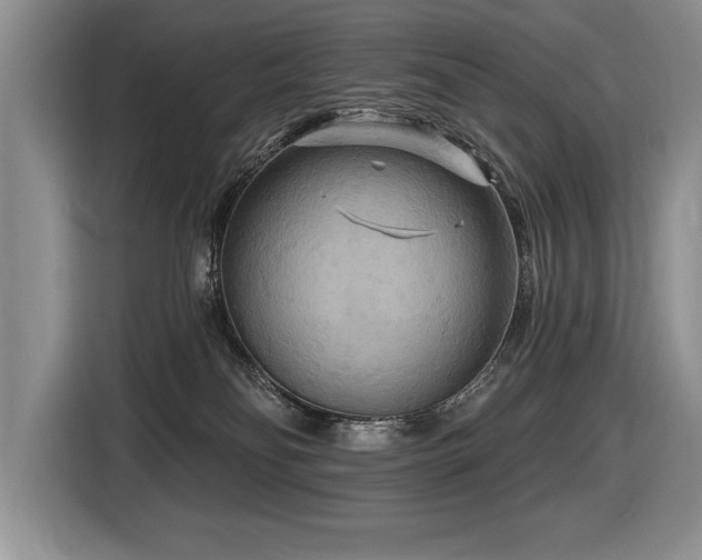 X0000116550134200912101422