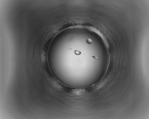 X0000116550135200912101422