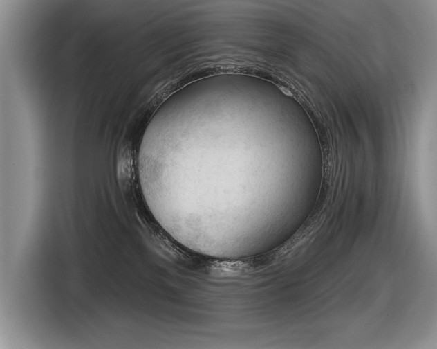 X0000116550137200912101422