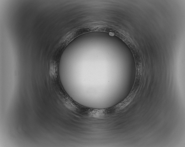 X0000116550138200912101422