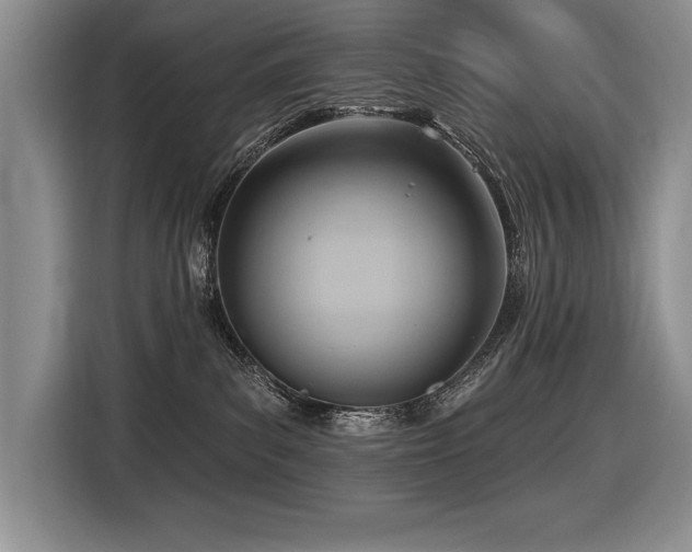 X0000116550139200912101422