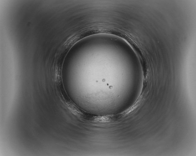 X0000116550140200912101422