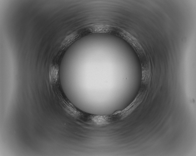 X0000116550142200912101422