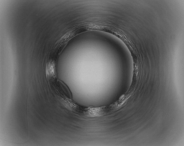 X0000116550143200912101422