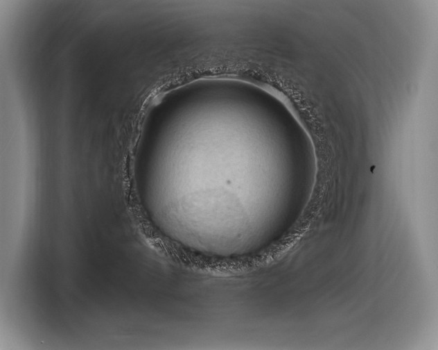 X0000116550144200912101422