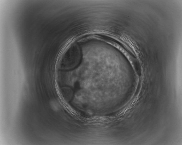 X0000116550145200912101421