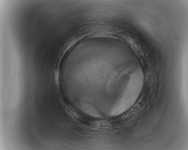 X0000116550146200912101421