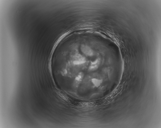 X0000116550147200912101421