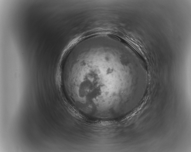 X0000116550149200912101421